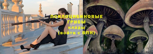 гидропоника Абинск